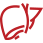 Billed-Right-Healthcare-HEPATOLOGY