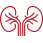 Billed-Right-Healthcare-NEPHROLOGY